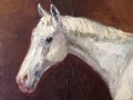Caballo arabe blanco de G. Trincot